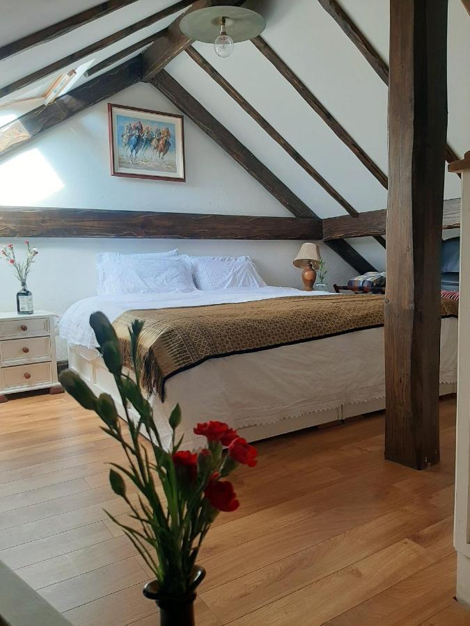 Cosy In With Balcony 32 M² View Appartement *